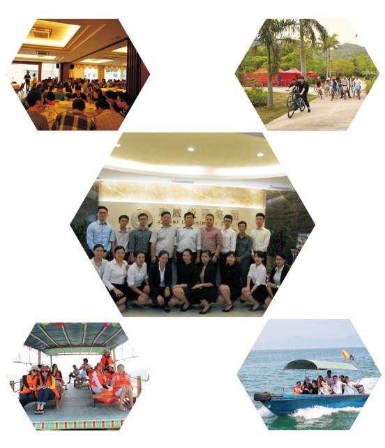 深圳志威投資集團專業團隊